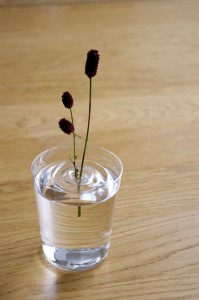 pływający wazon projektu ooDesign